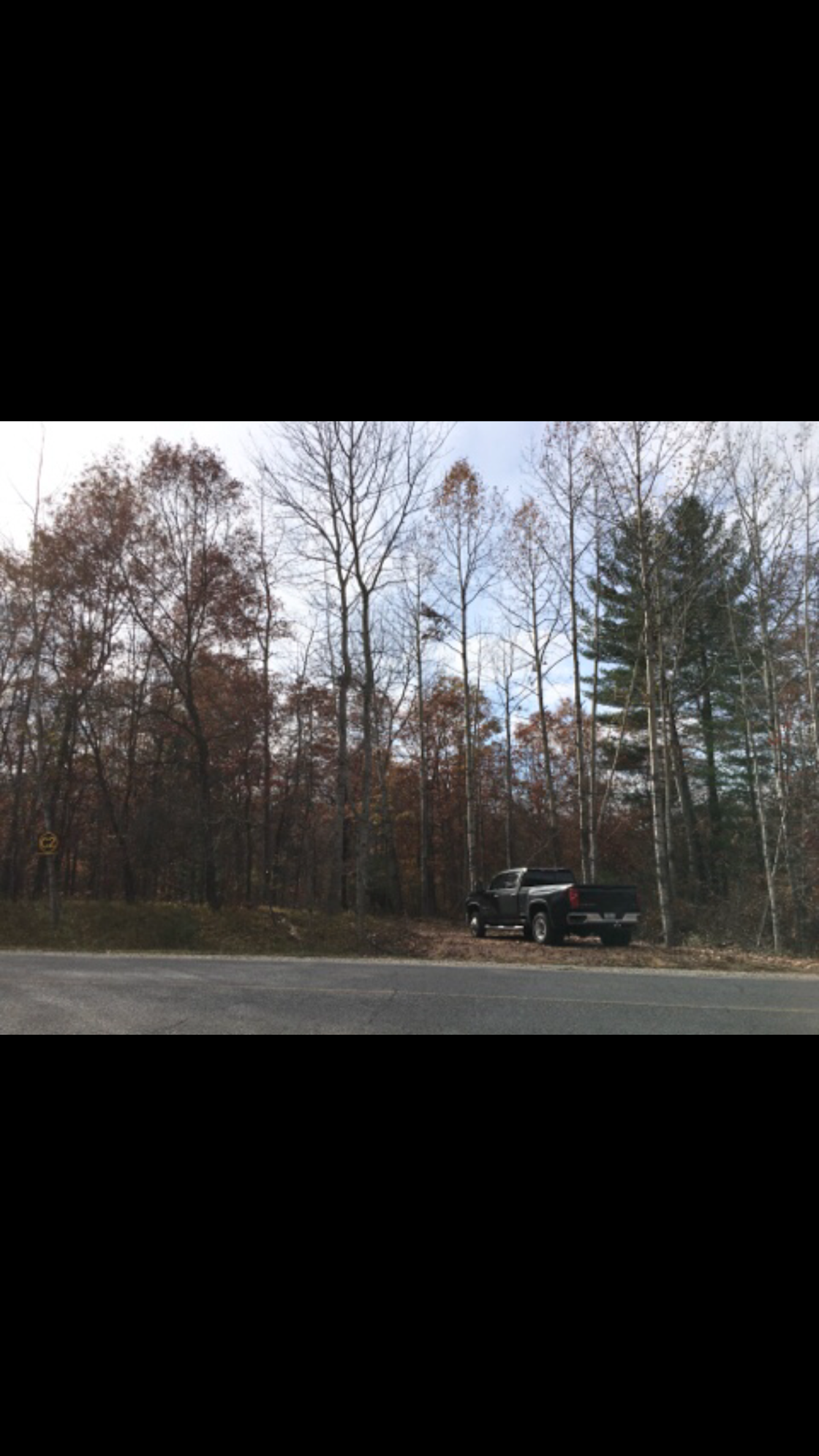 The wild Hipcamp in Farwell, Michigan