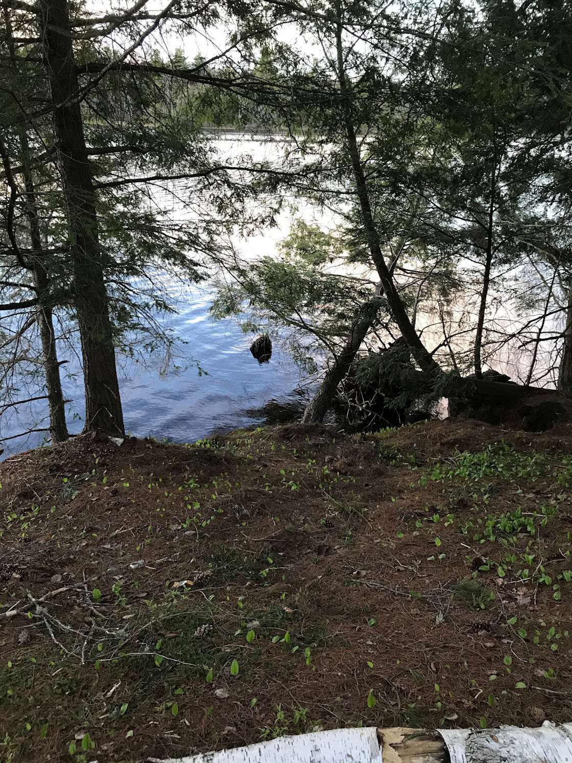 Camp Unirondack Hipcamp in Croghan, New York