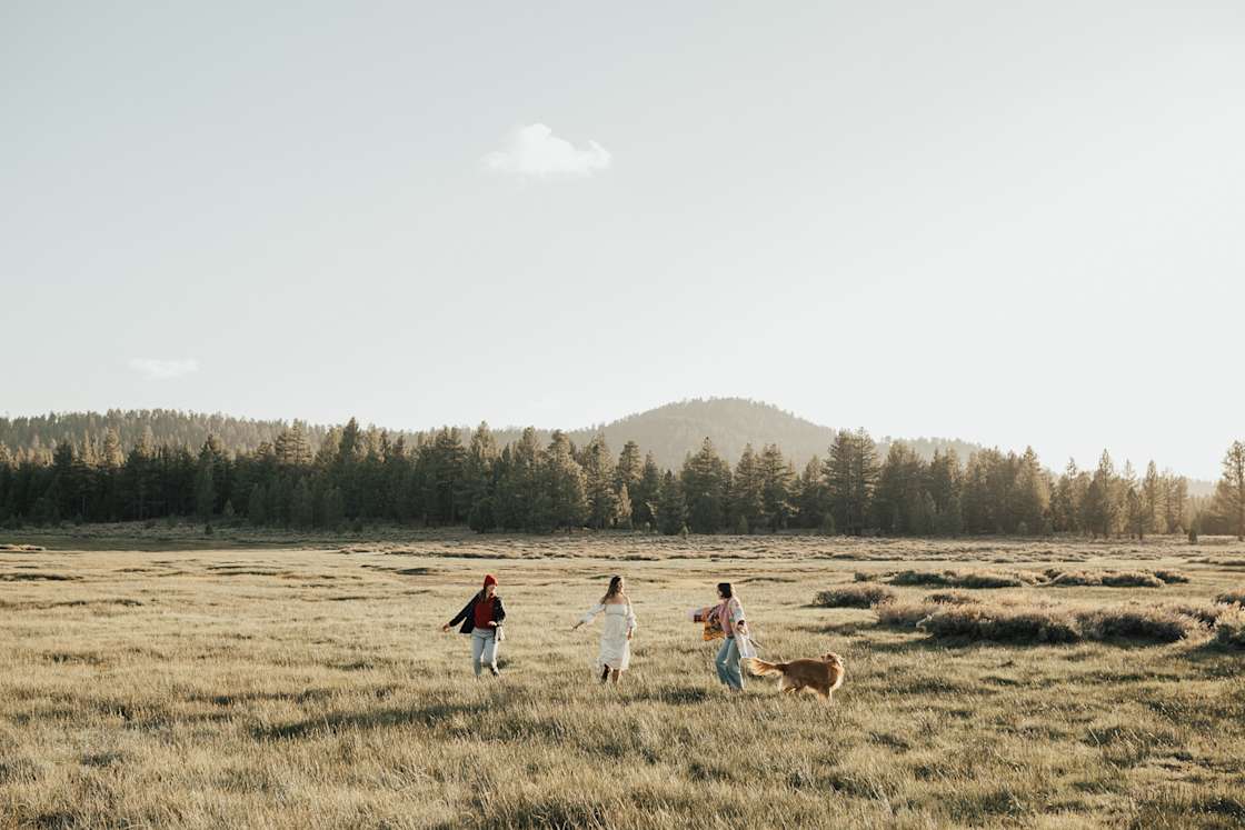 Valley Ranch Hipcamp in Fawnskin, California