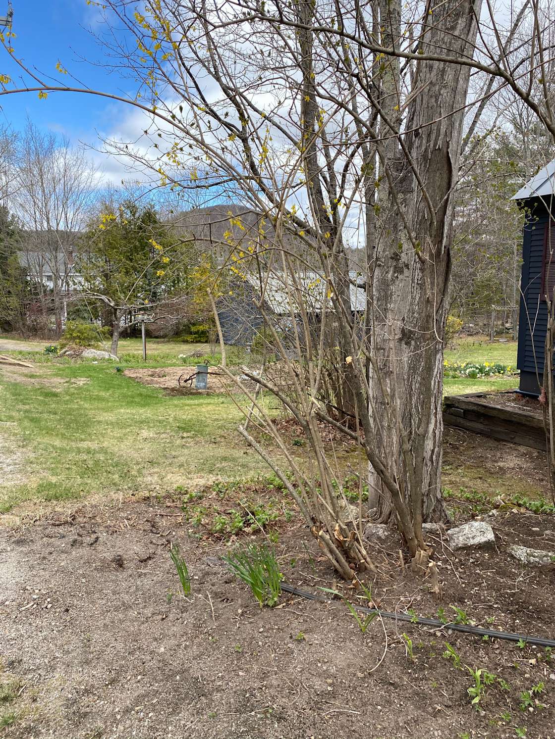 South Sutton Get Away Hipcamp in Bradford, New Hampshire