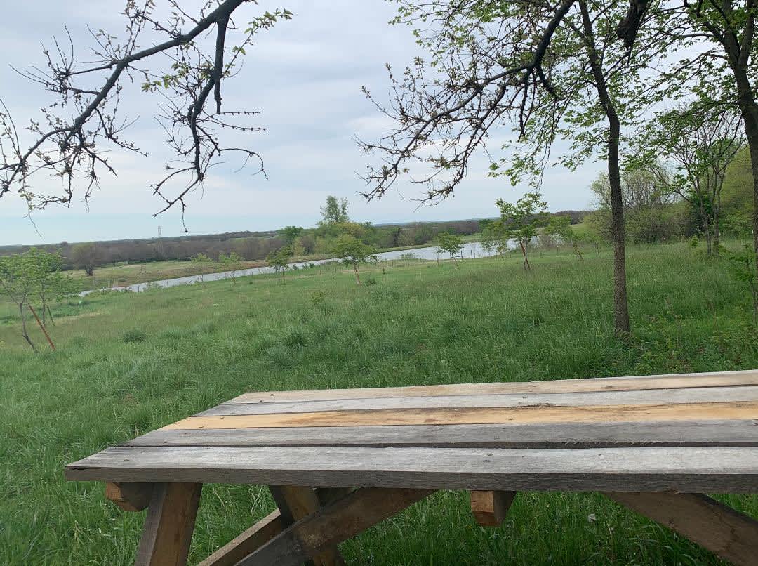 Gail F.’s Land Hipcamp in Severy, Kansas