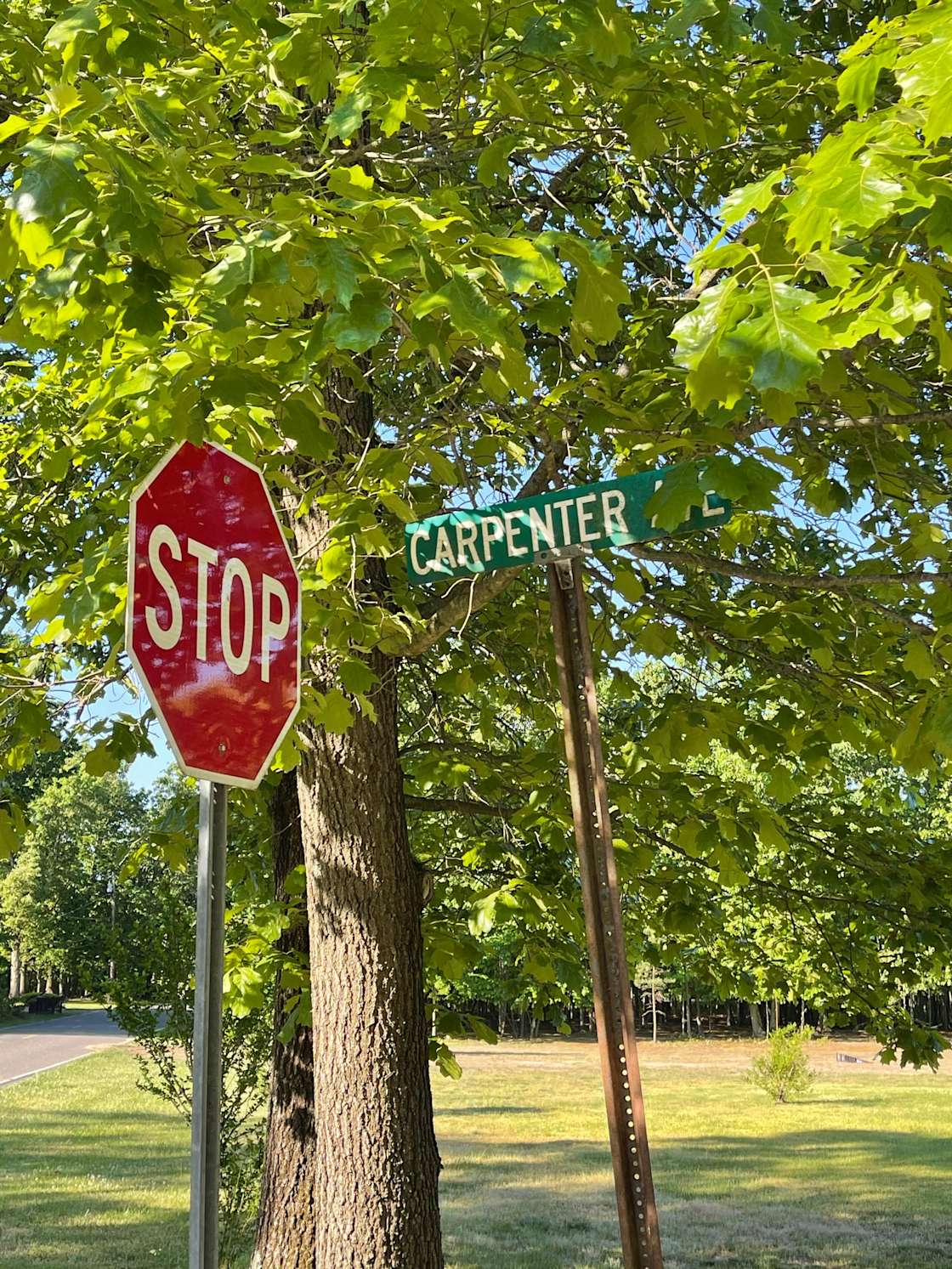 Chesilhurst Getaway Hipcamp in Chesilhurst, New Jersey