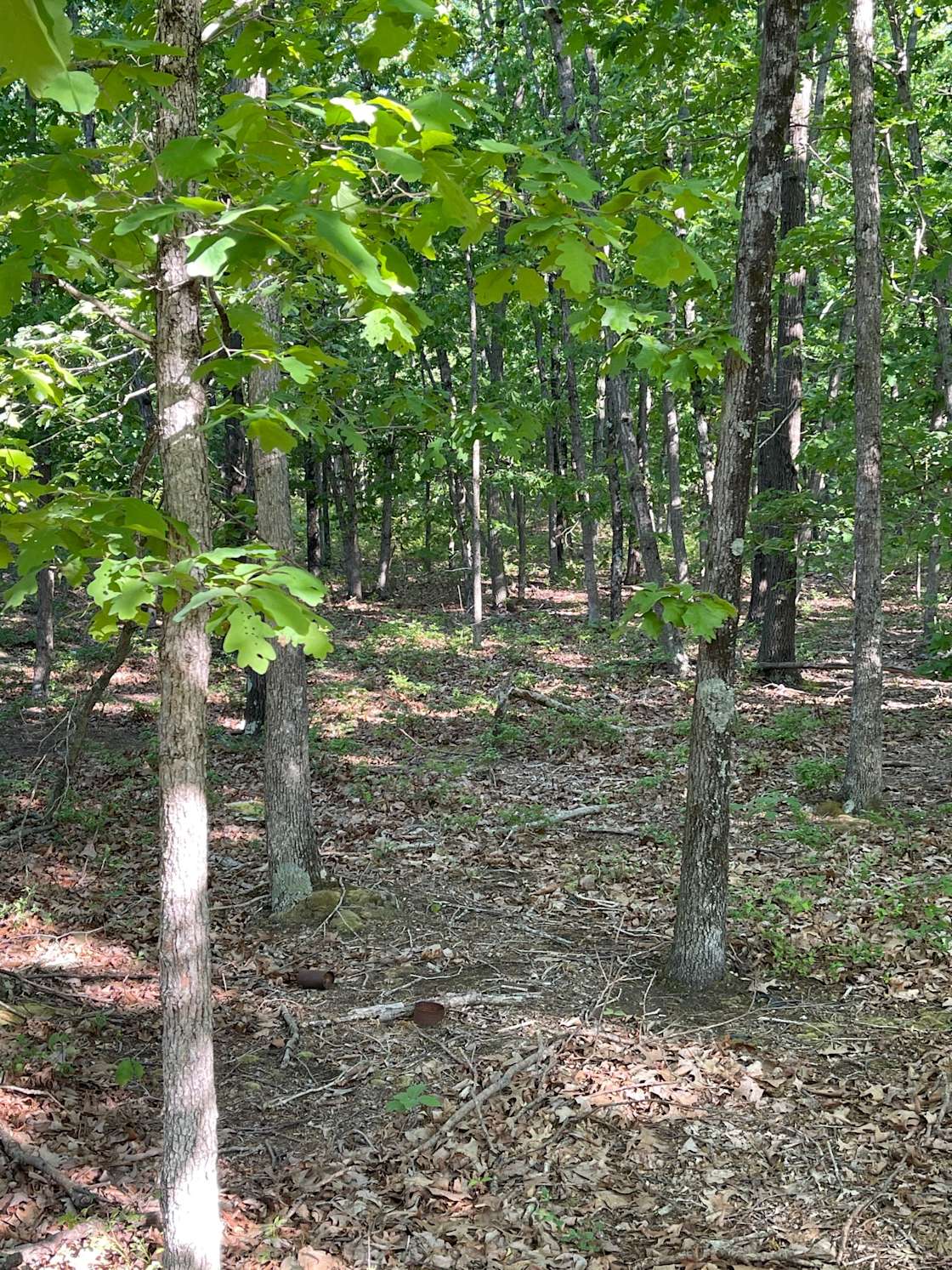 Chesilhurst Getaway Hipcamp in Chesilhurst, New Jersey