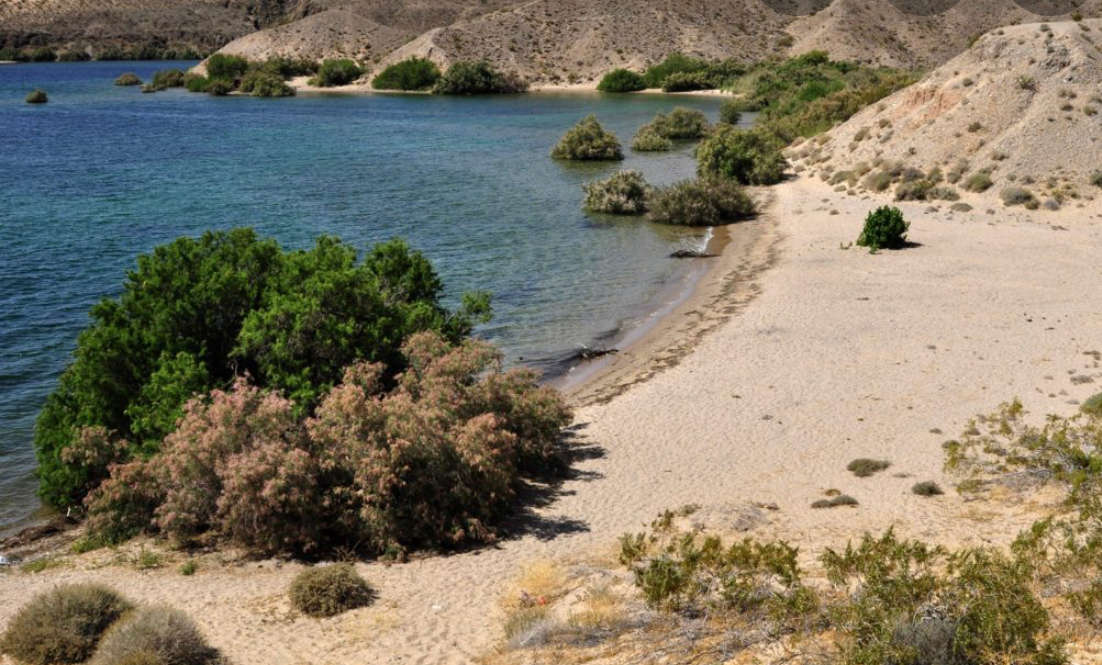 Tent camping Hipcamp in Dolan Springs, Arizona