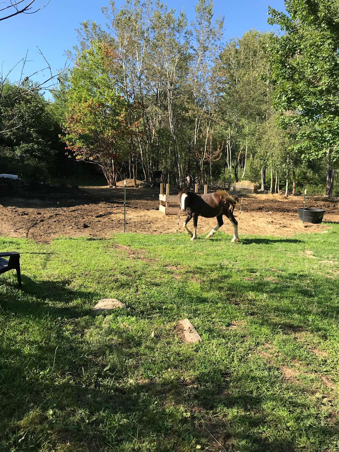 Forest & farm - Hipcamp in Acton, Maine