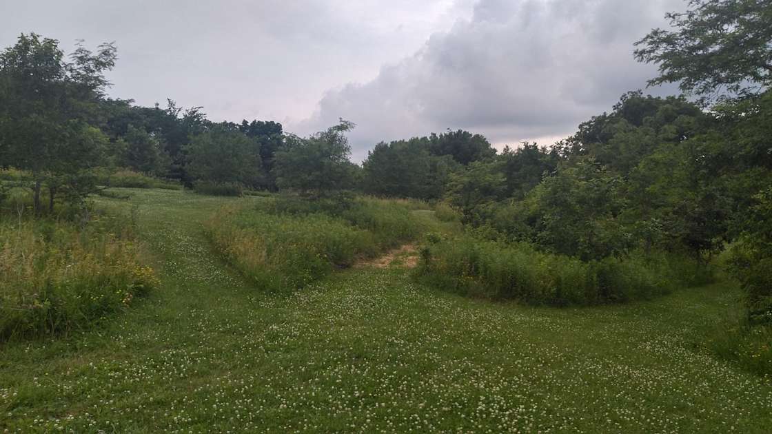 Darren W.’s Land Hipcamp in New Sharon, Iowa