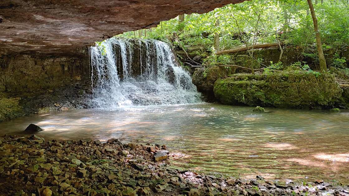 Dockley Ranch Hipcamp in Chadwick, Missouri