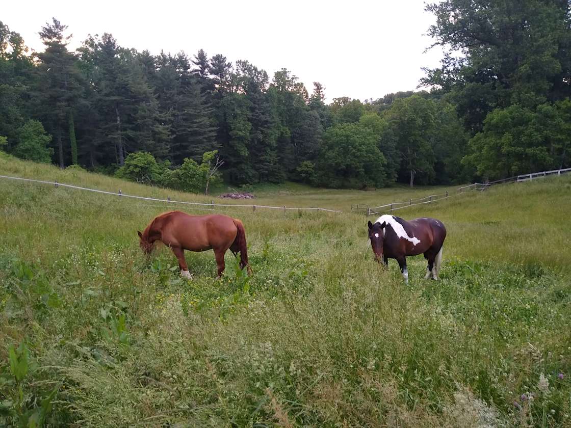 Tent Camping and RV Hipcamp in Hendersonville, North Carolina