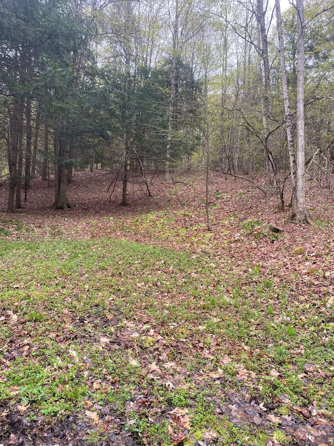 Dianes campsite adventures Hipcamp in Middleburgh, New York