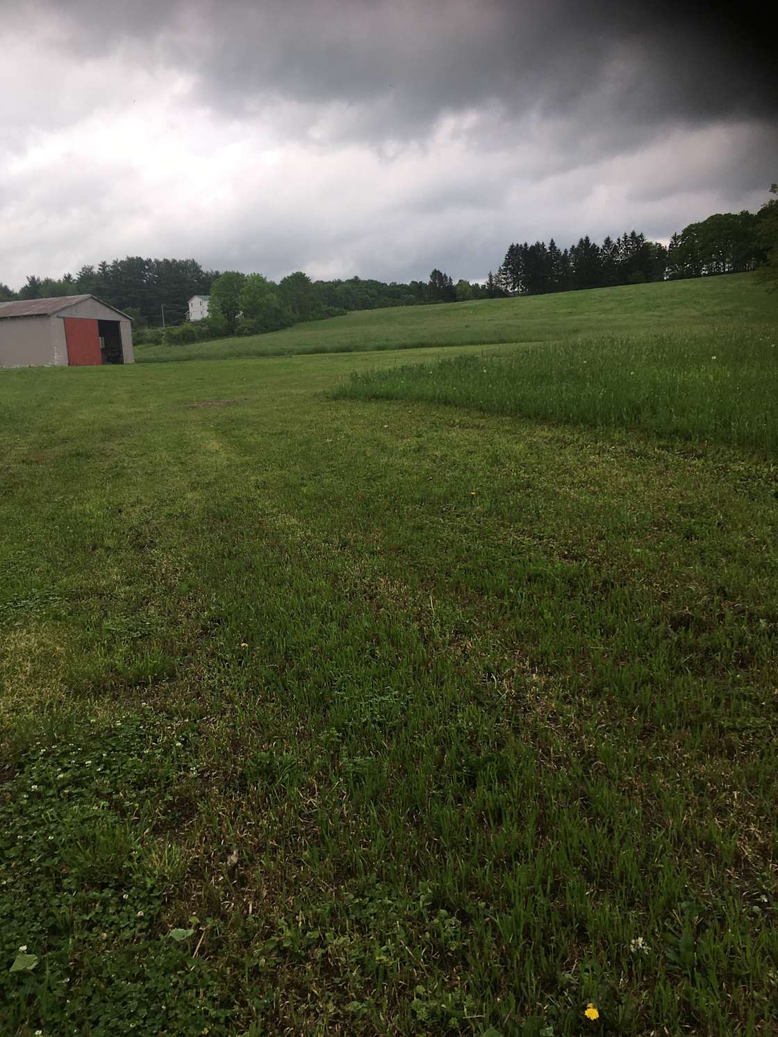 Lisle Road camping Hipcamp in Owego, New York