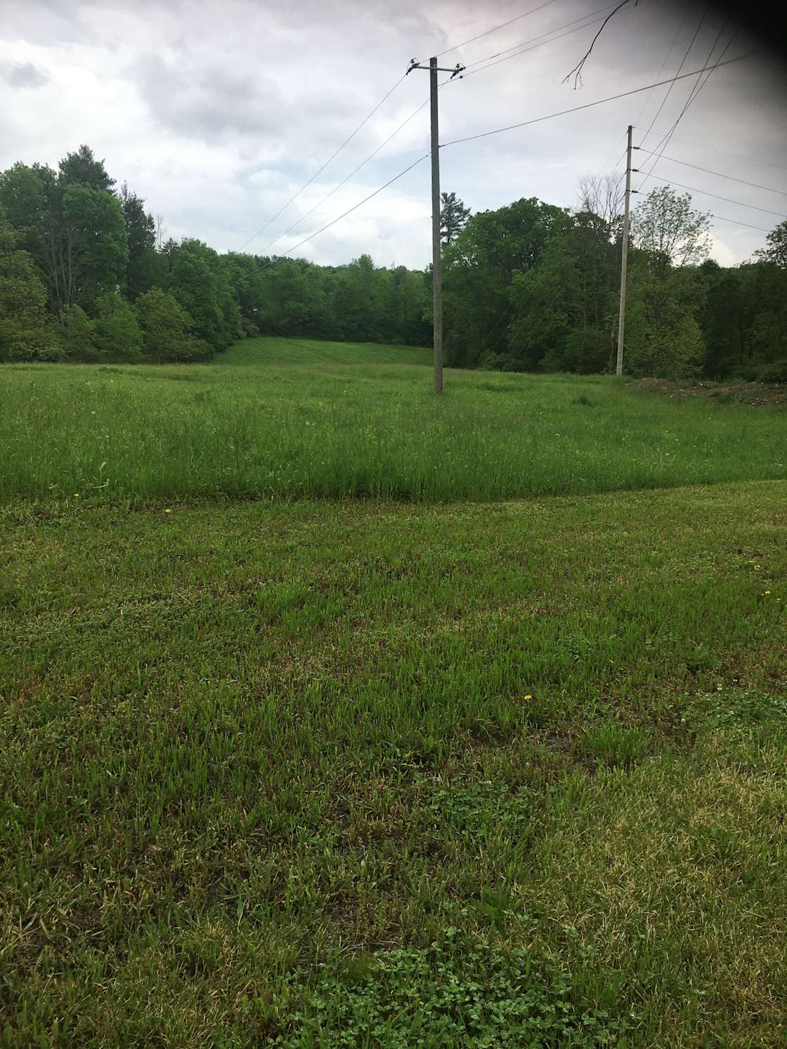 Lisle Road camping Hipcamp in Owego, New York