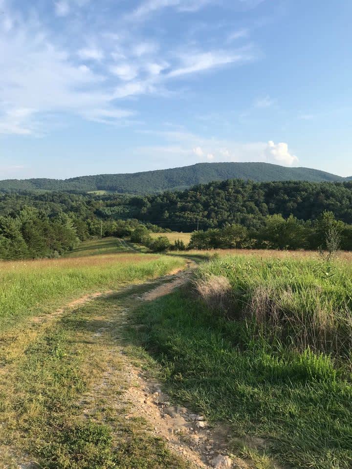 Cabins at Skipwillow Farm Hipcamp in Floyd, Virginia