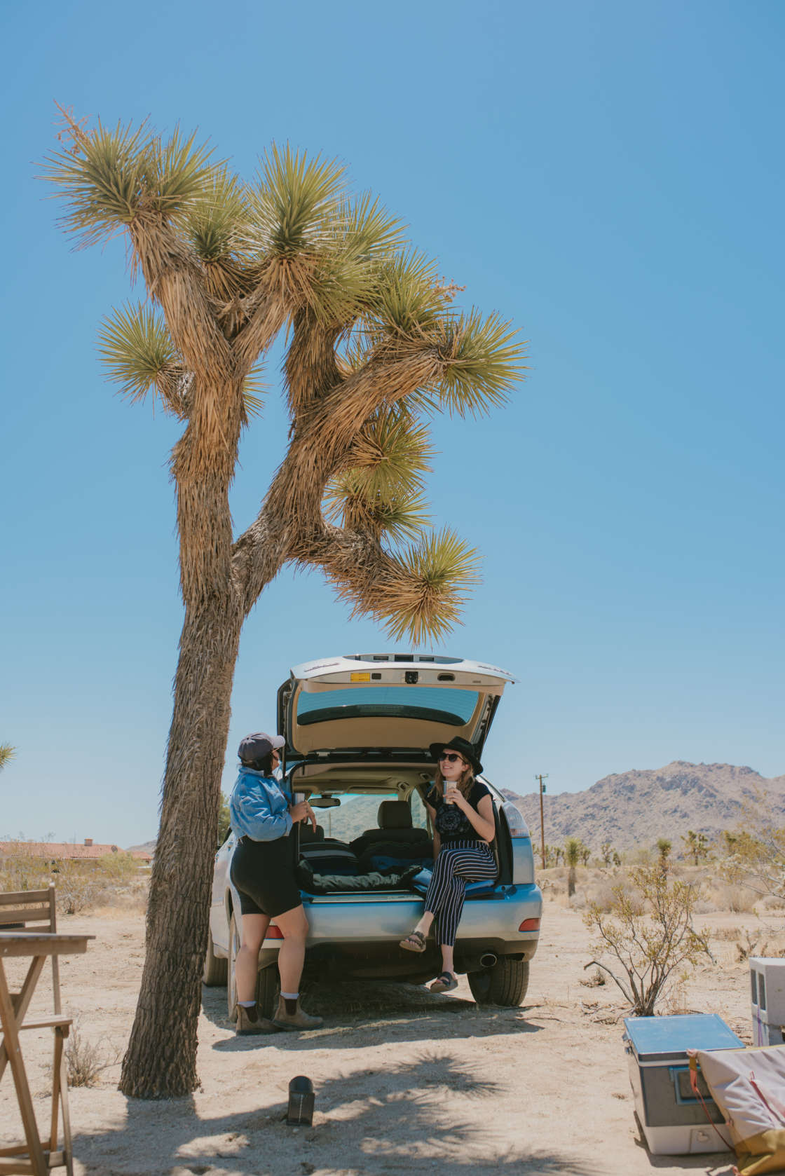 Caribbean Mojave Escape - Hipcamp In Yucca Valley, California