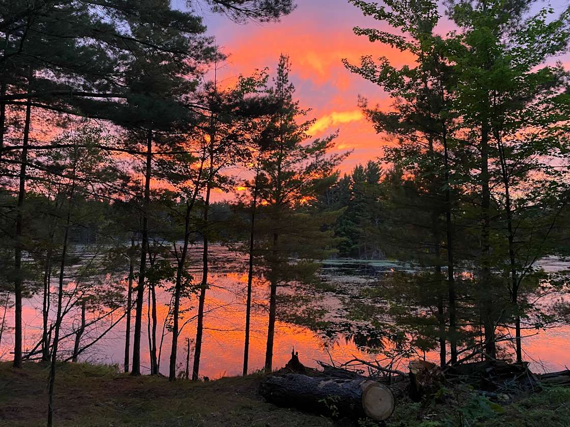 Bushwood! Hipcamp in Godfrey, Ontario