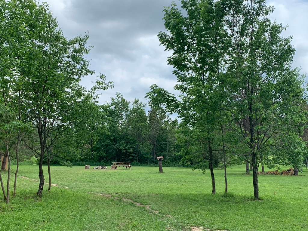 Natures Acres Hipcamp in Mount Forest, Ontario