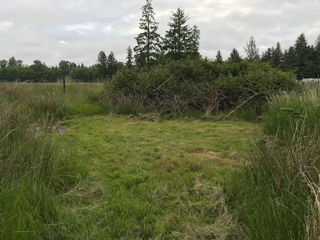 Homestead Camp Forks Hipcamp in Forks, Washington