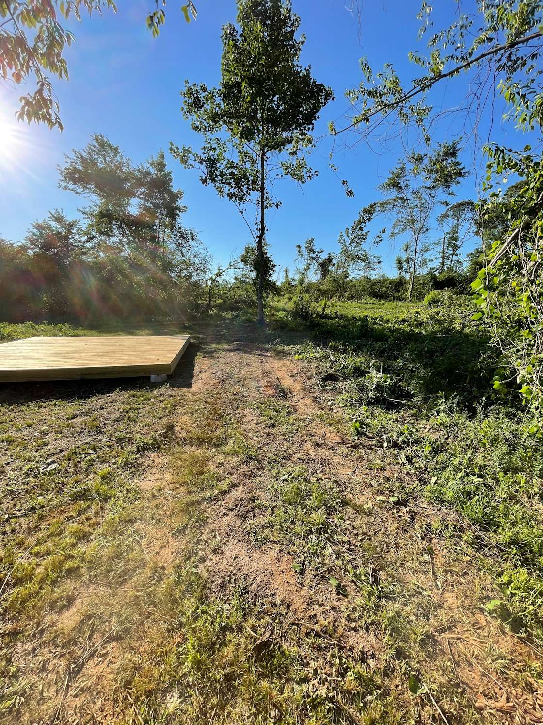 Lake Wedowee Camping Hipcamp in Wedowee, Alabama