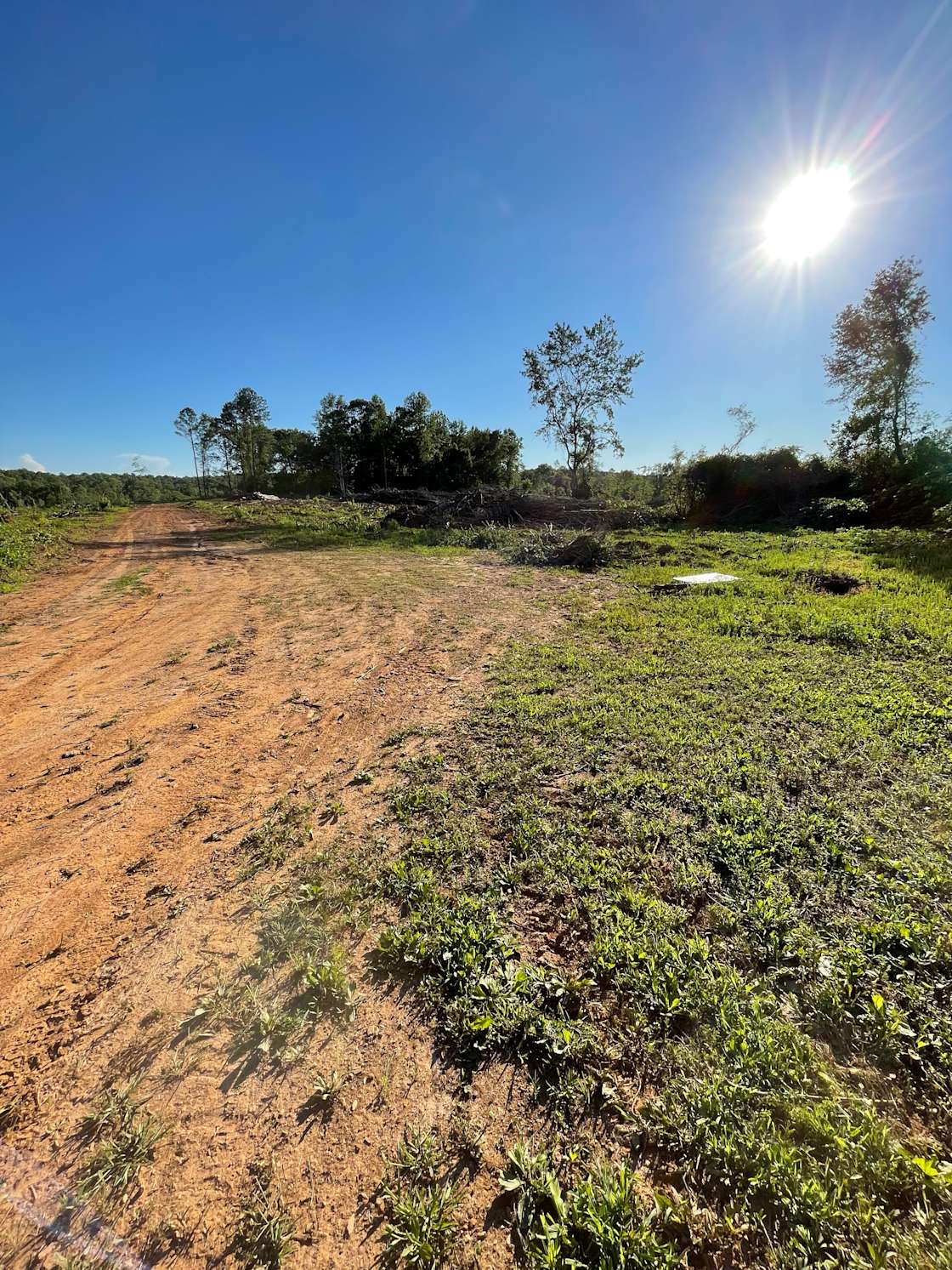 Lake Wedowee Camping Hipcamp in Wedowee, Alabama