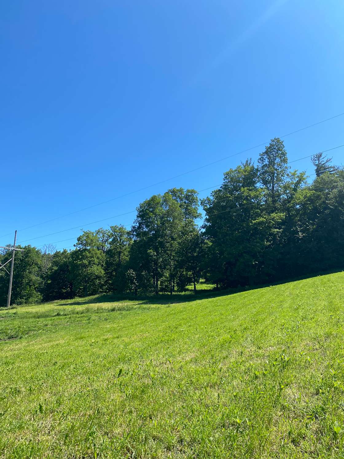 Empty Pockets Ranch Hipcamp in Cobleskill, New York