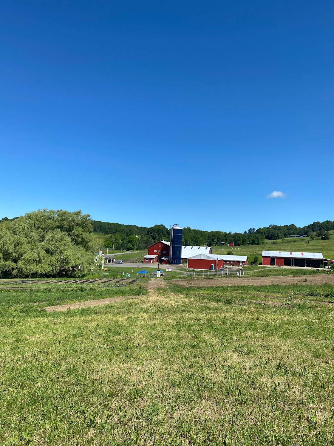 Empty Pockets Ranch Hipcamp in Cobleskill, New York