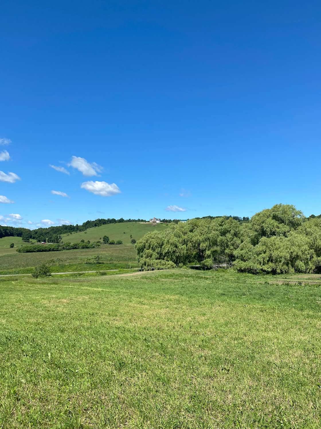 Empty Pockets Ranch Hipcamp in Cobleskill, New York