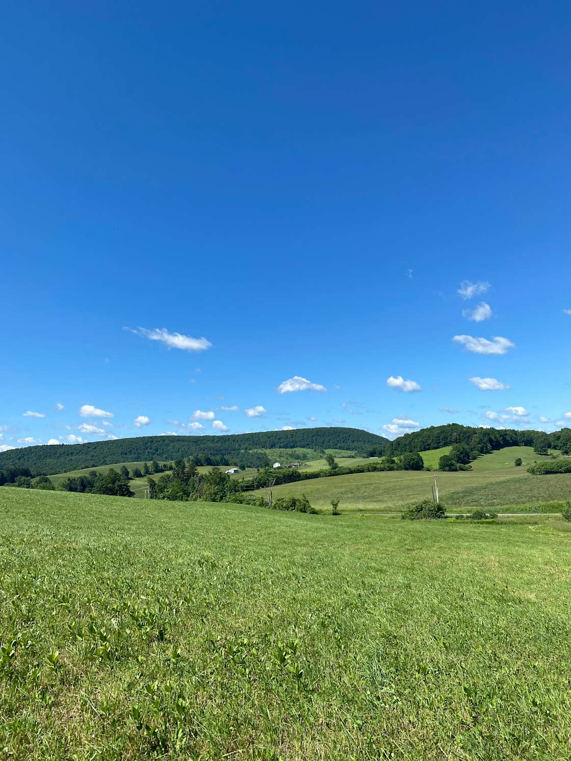 Empty Pockets Ranch Hipcamp in Cobleskill, New York