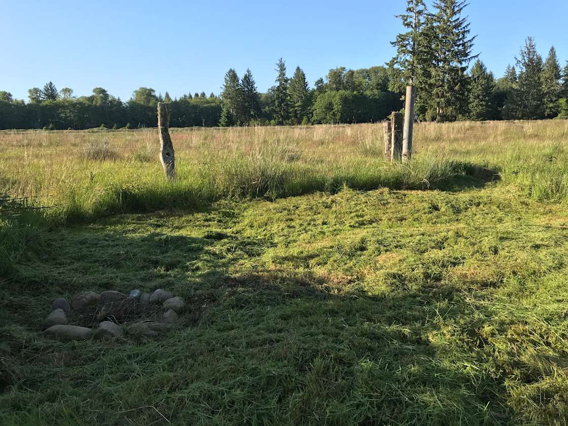 Homestead Camp Forks Hipcamp in Forks, Washington