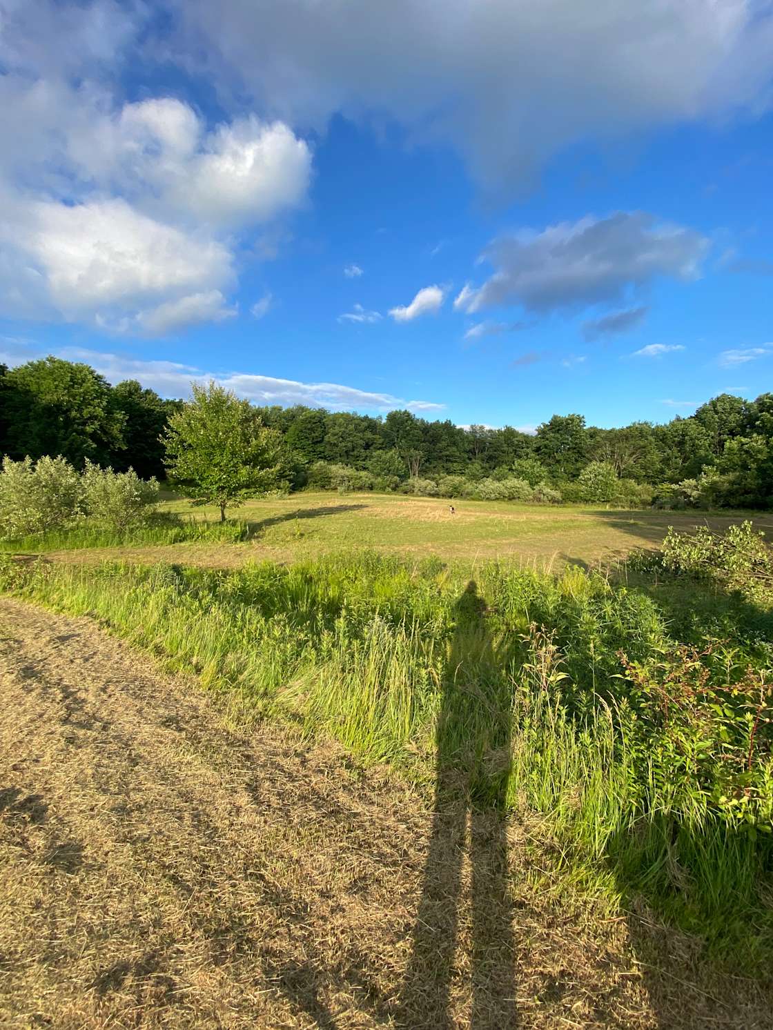 Watts Hill Backwoods Hipcamp in Honesdale, Pennsylvania