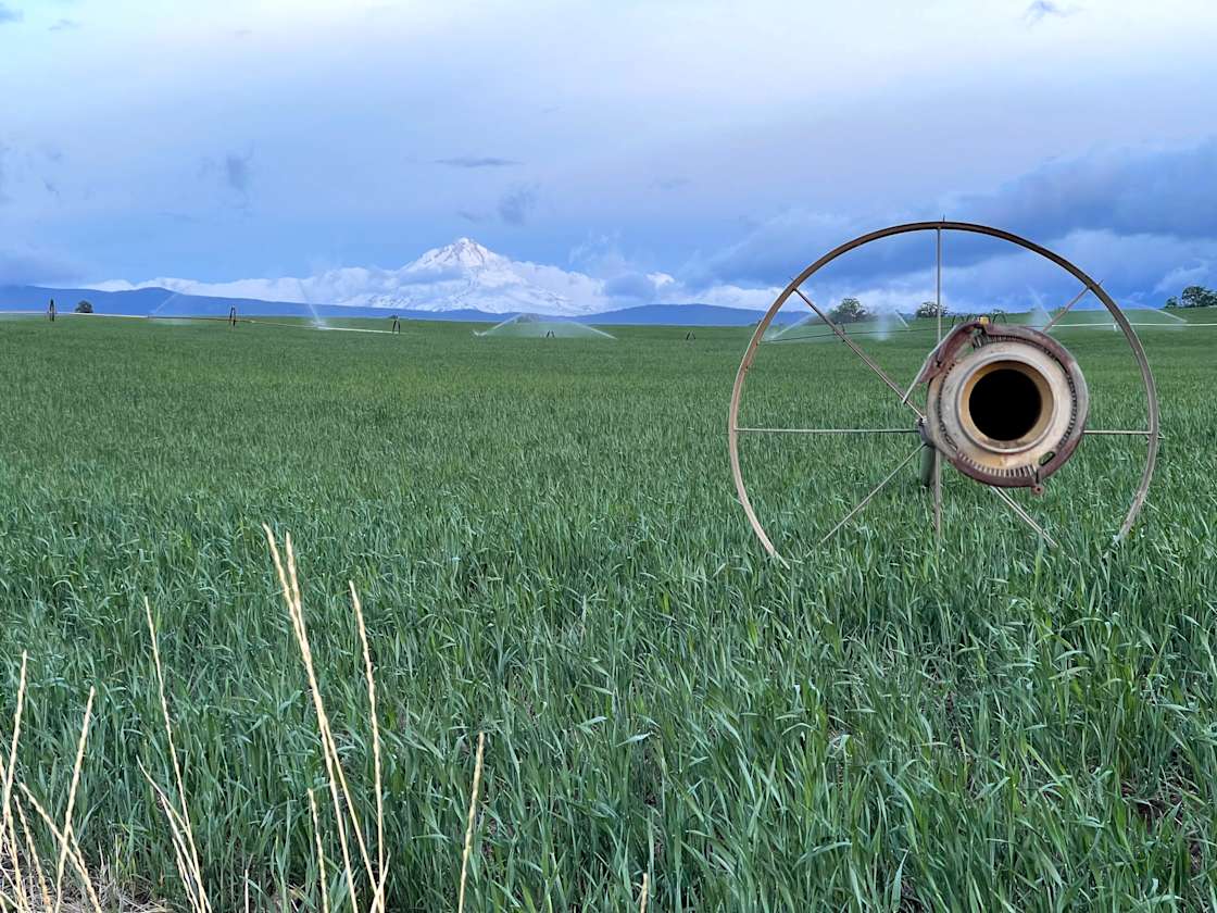 Carbon Farm Mt Hood Hipcamp in Dufur, Oregon