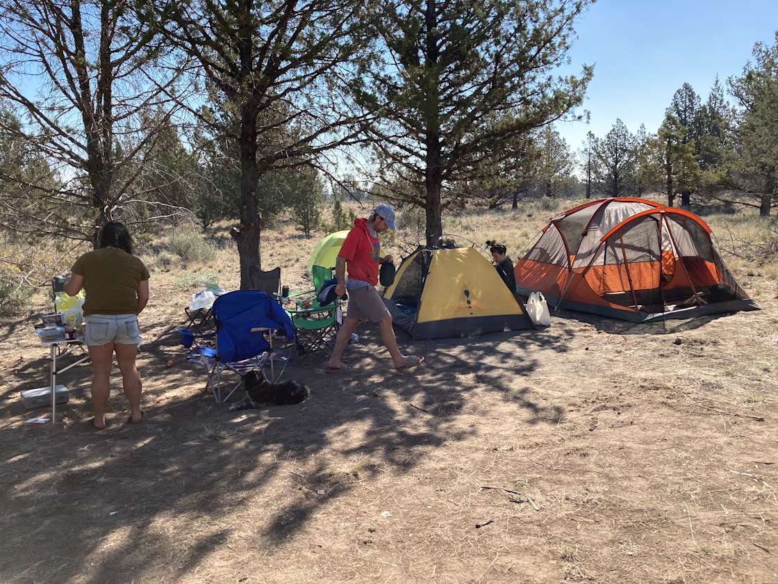 Camping under the Stars Hipcamp in Culver, Oregon