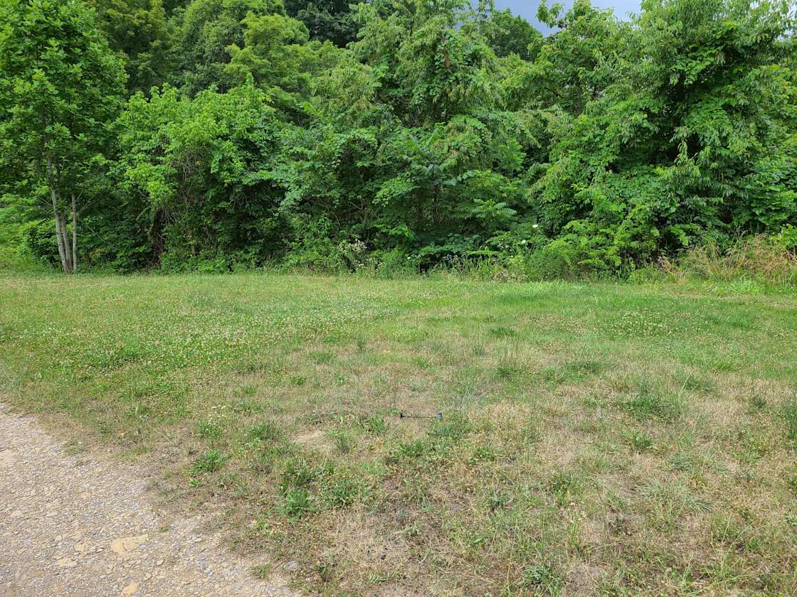 Goshen Valley Mountain Campsite Hipcamp in Church Hill, Tennessee