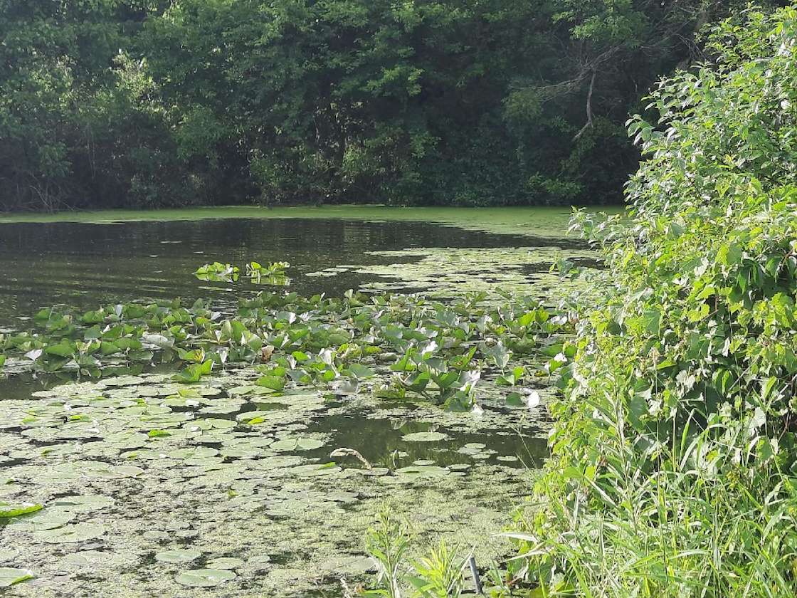 Shipshewana lake with channel Hipcamp in Shipshewana, Indiana