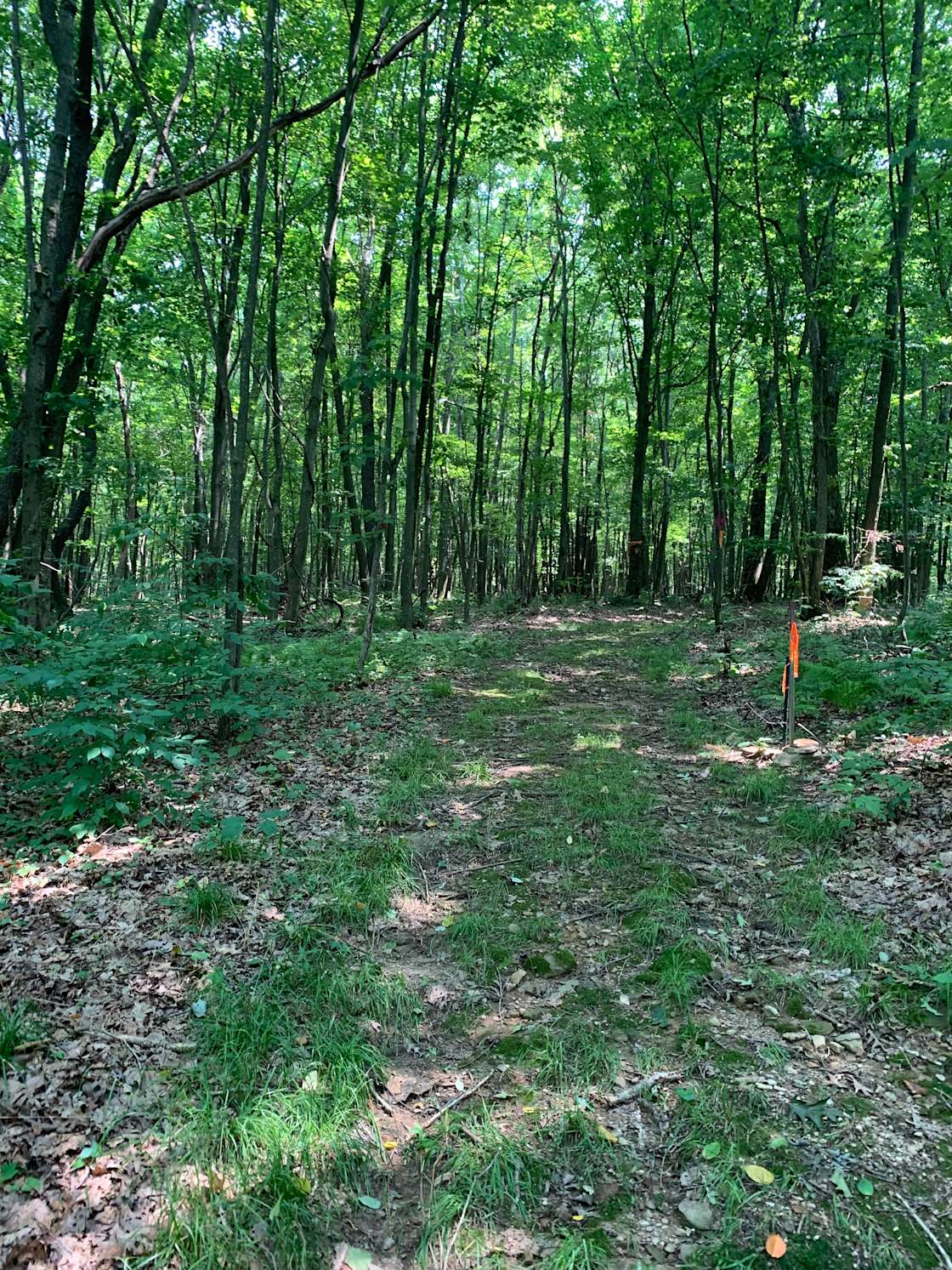 Namaste hideaway Hipcamp in Stoystown, Pennsylvania