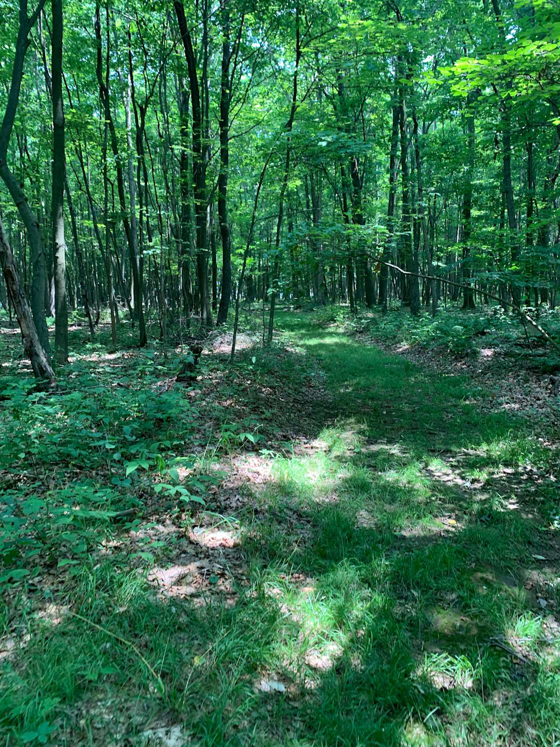 Namaste hideaway Hipcamp in Stoystown, Pennsylvania