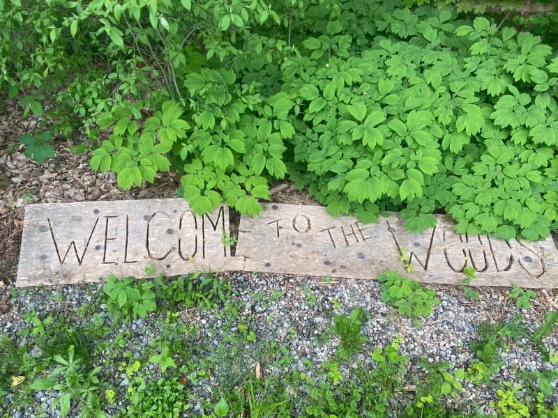 Offgrid Waterfront Forest Camp Hipcamp in South Frontenac, Ontario
