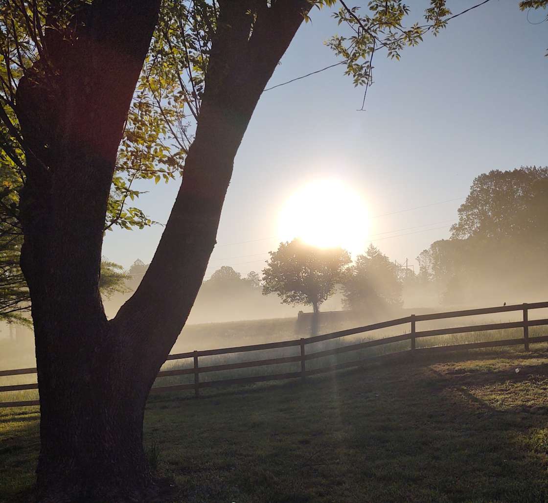 Cherry Hill Farm Hipcamp in Cartersville, Virginia