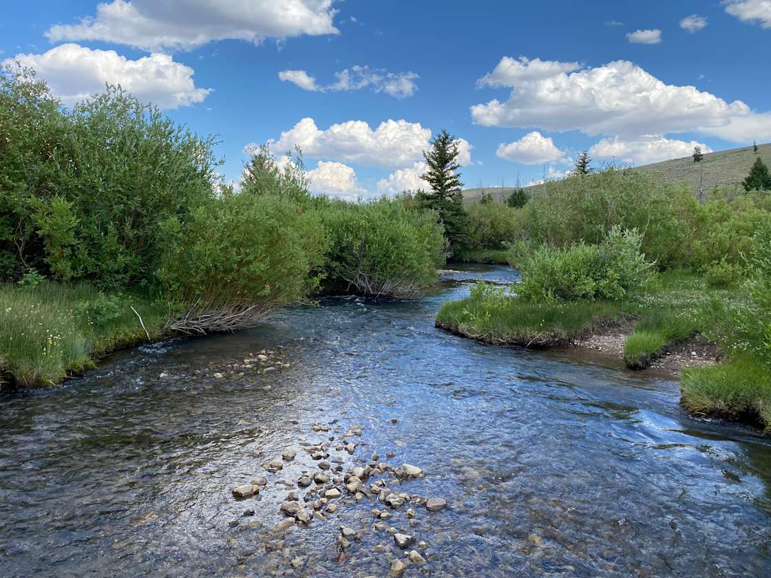 640 acres with rustic cabin on a creek bank. Cabin has no electricity