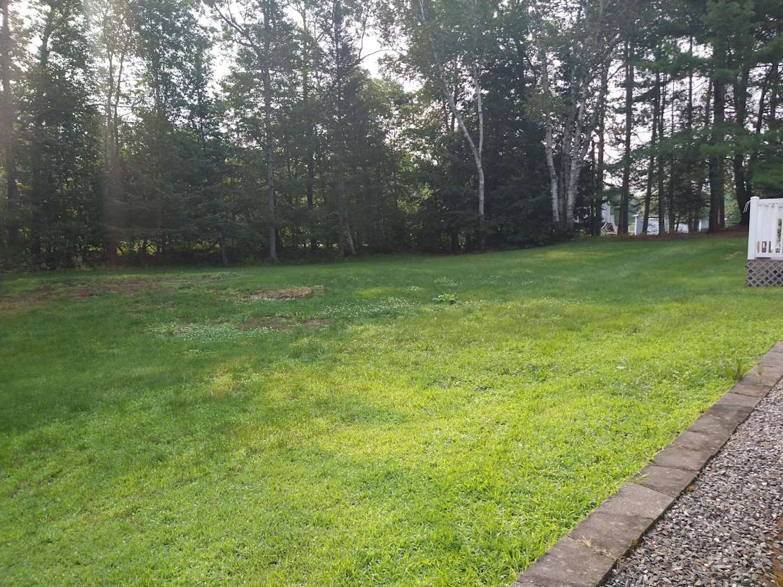 Ginger H.’s Land Hipcamp in Hampden, Maine