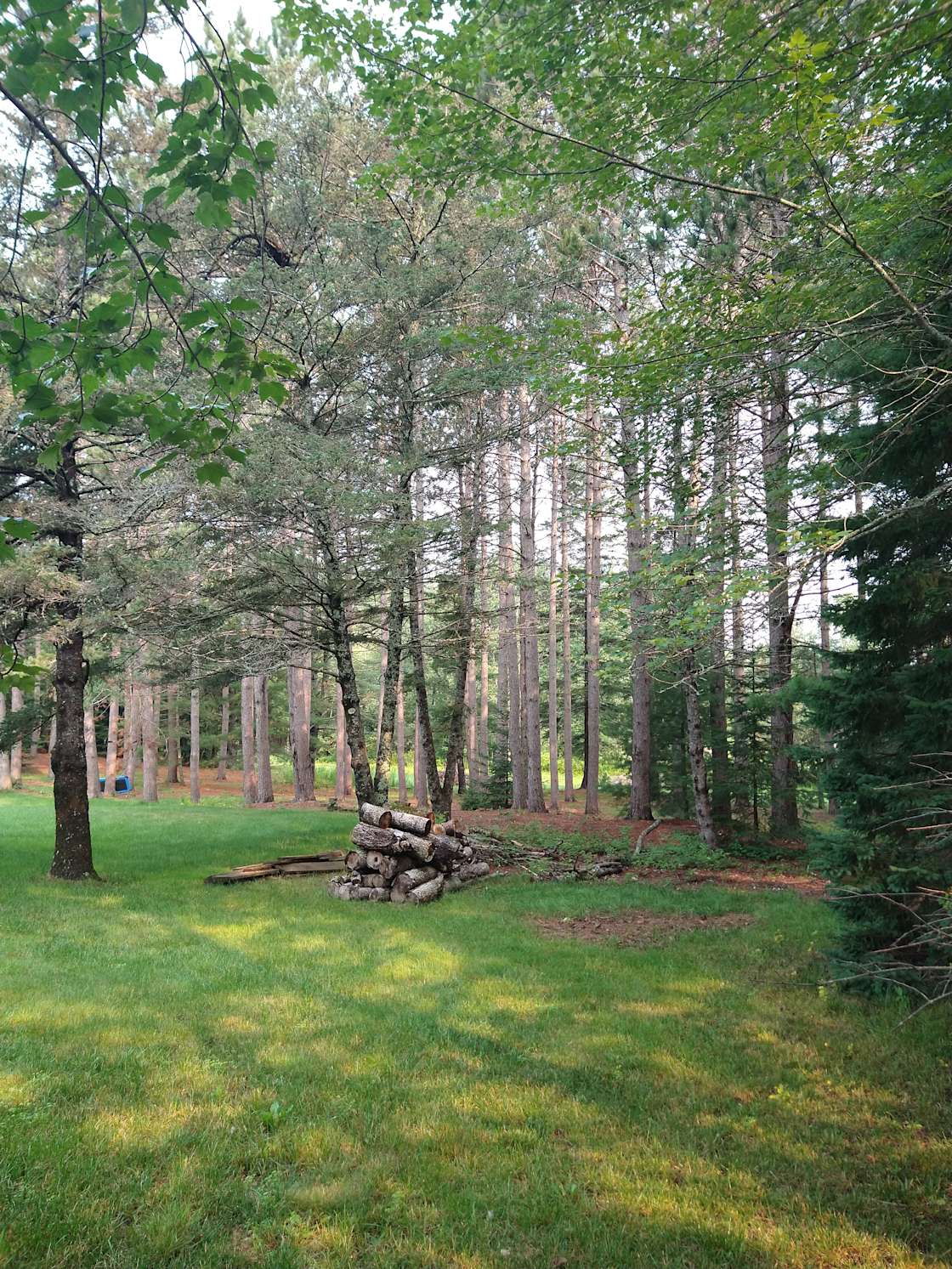 Ginger H.’s Land Hipcamp in Hampden, Maine