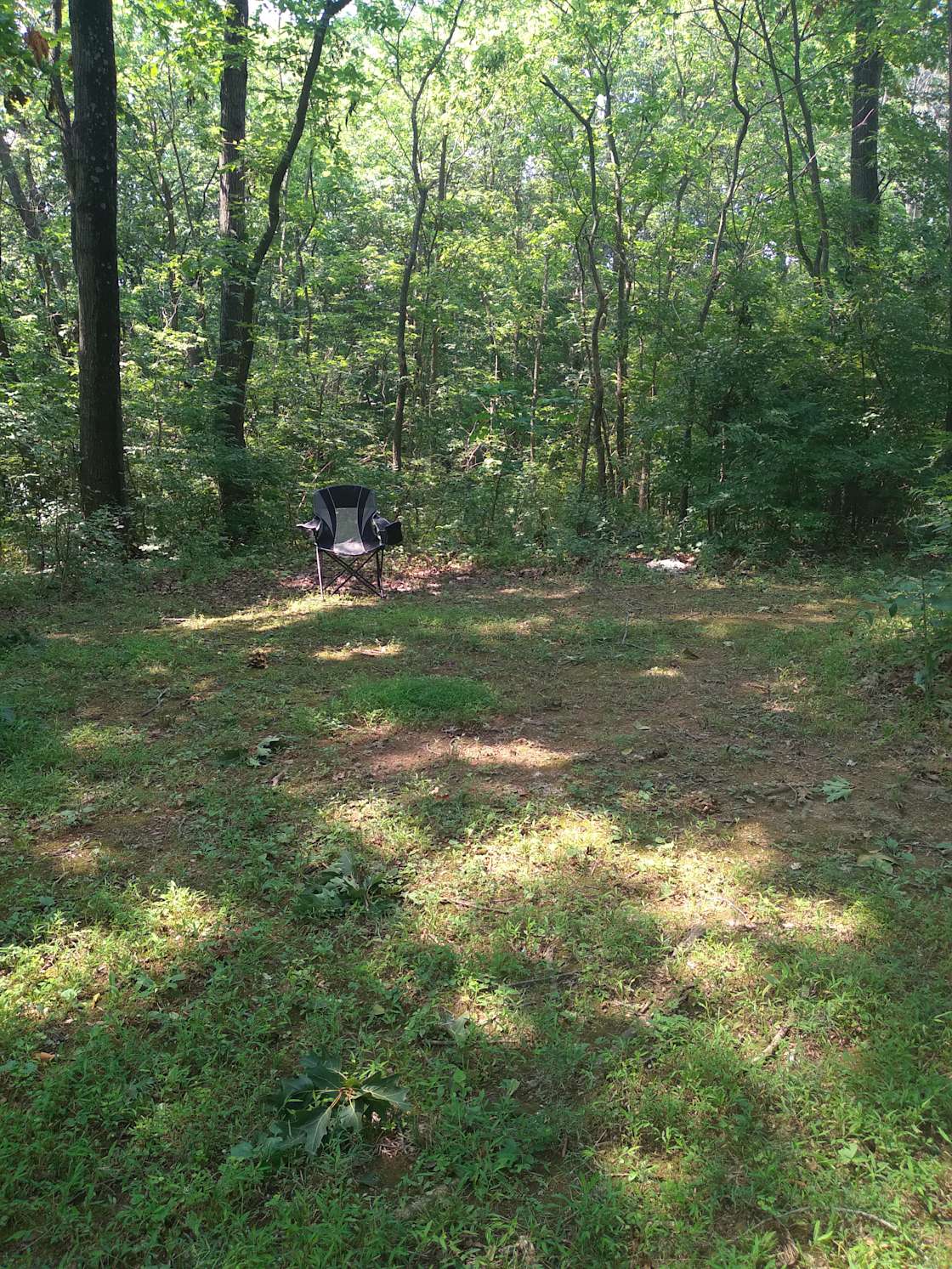 Woods Edge song birds sanctuary Hipcamp in Kearneysville, West Virginia