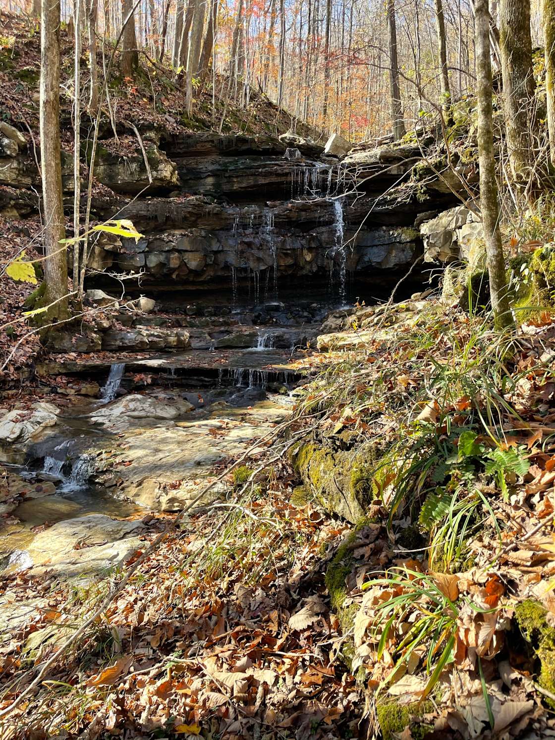 Sasquatch Farm - Hipcamp in Orme, Tennessee