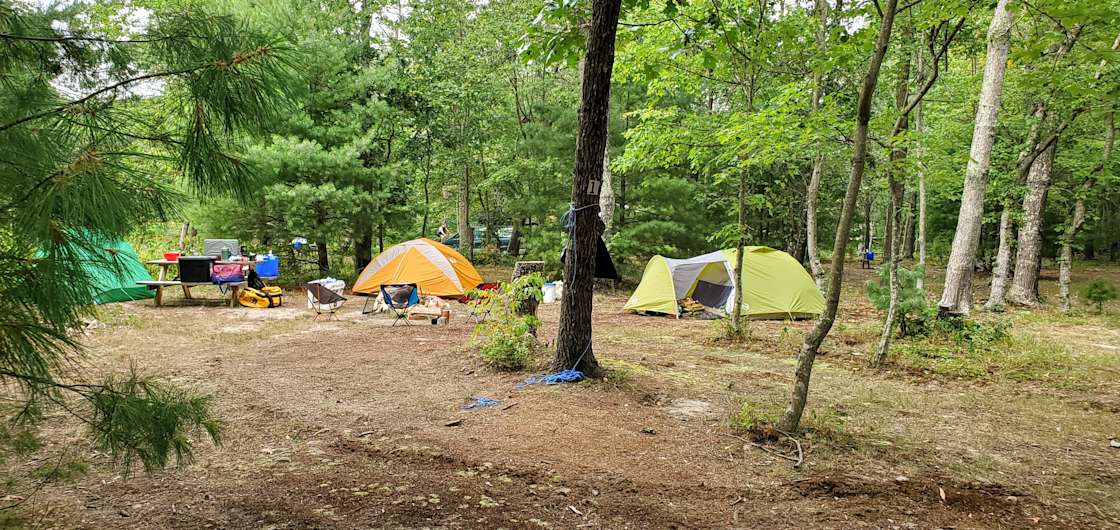 Rendezvous Farm Hipcamp in Basye, Virginia