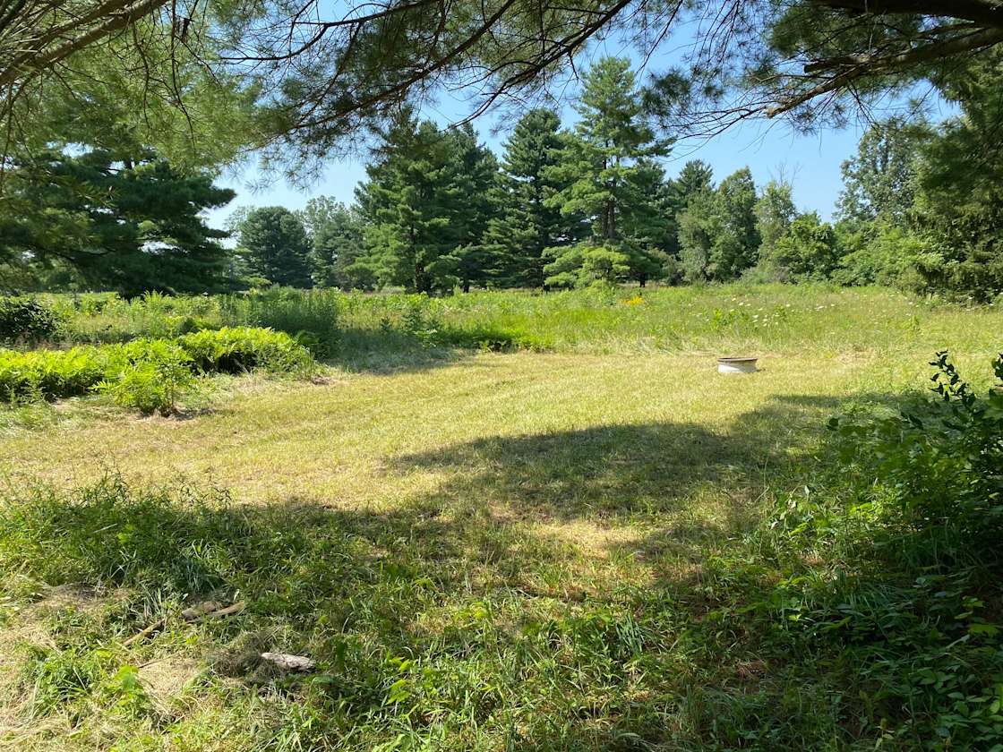 Thousand S.’s Land Hipcamp in Lapeer, Michigan