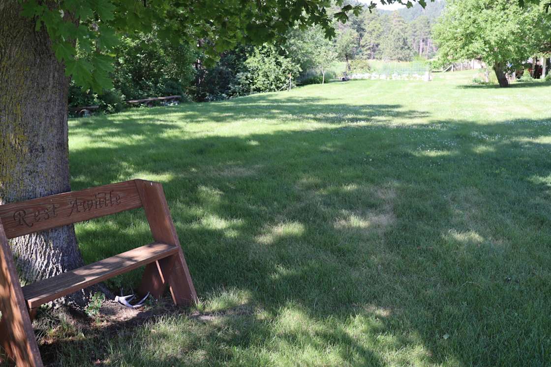 Michael S.’s Land Hipcamp in Piedmont, South Dakota