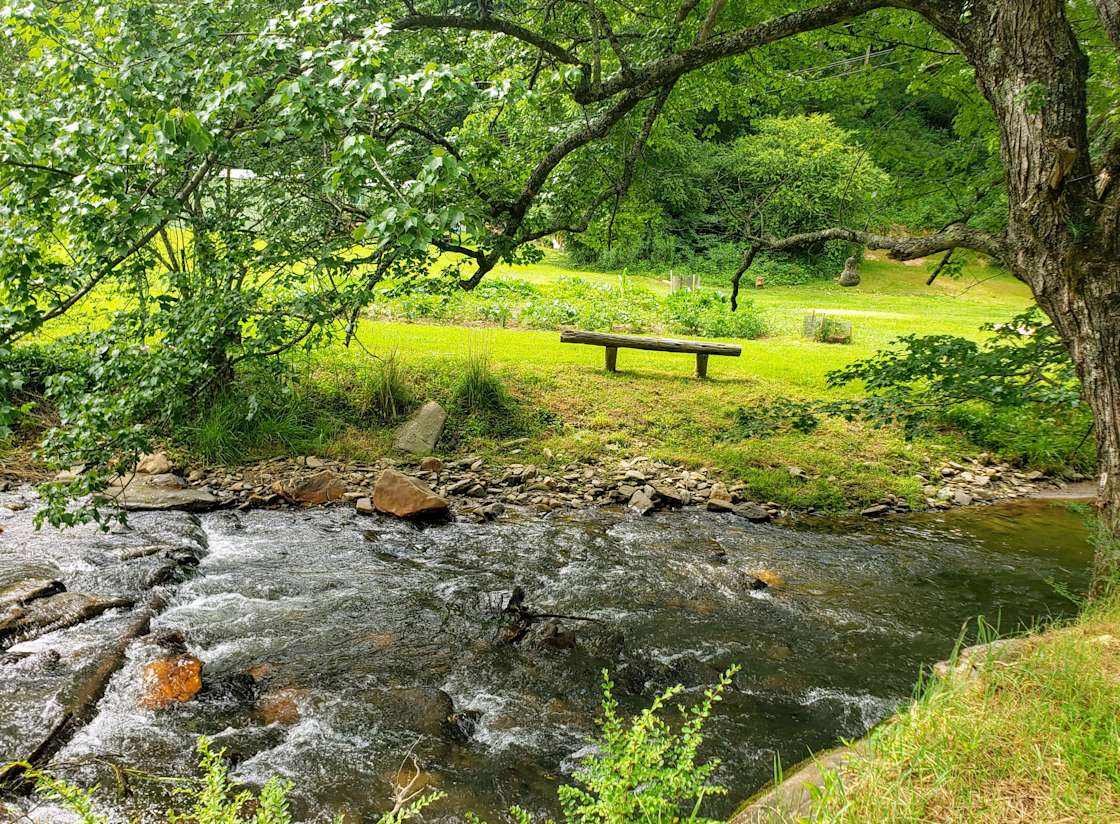 Conleys Creek Campground Hipcamp in Whittier, North Carolina