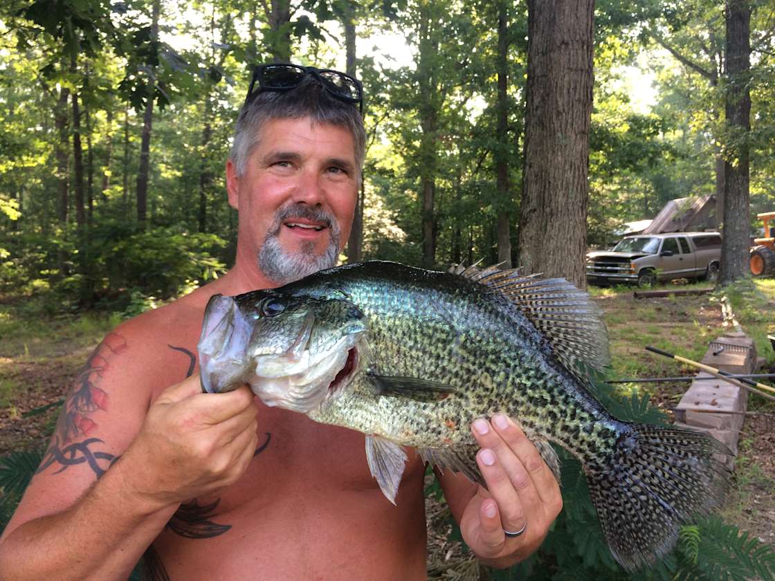 Chigger Creek Camping Hipcamp in Dinwiddie, Virginia
