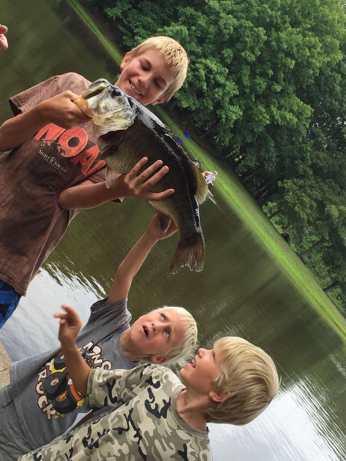 Chigger Creek Camping Hipcamp in Dinwiddie, Virginia