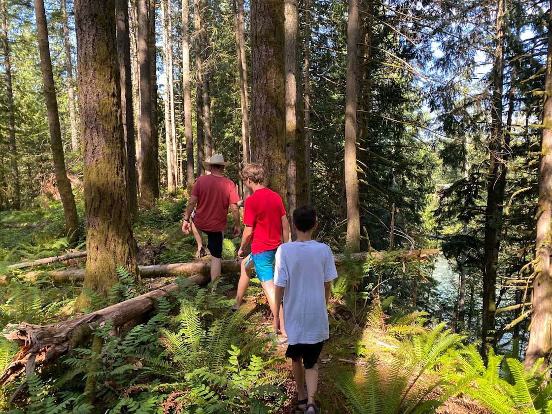 Persis View Campsite Hipcamp in Gold Bar, Washington