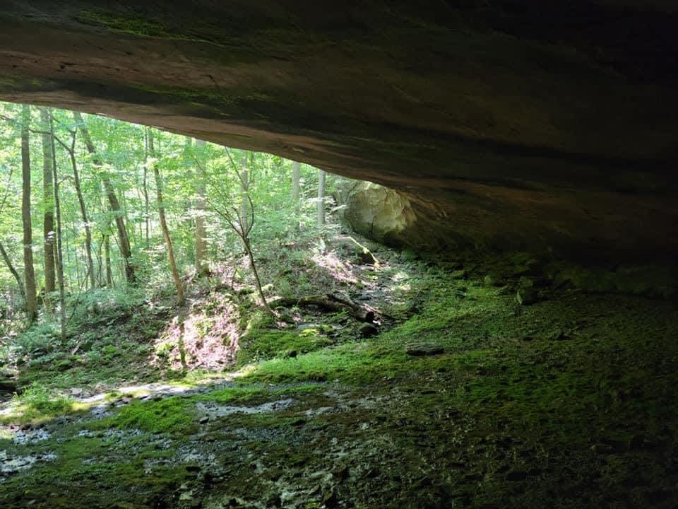 The Meadowlands - Hipcamp in Eastview, Kentucky