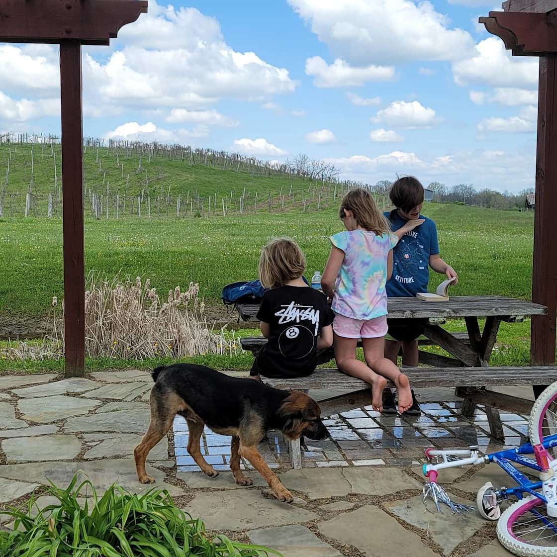 Goodwater Vineyards Hipcamp in Bybee, Tennessee